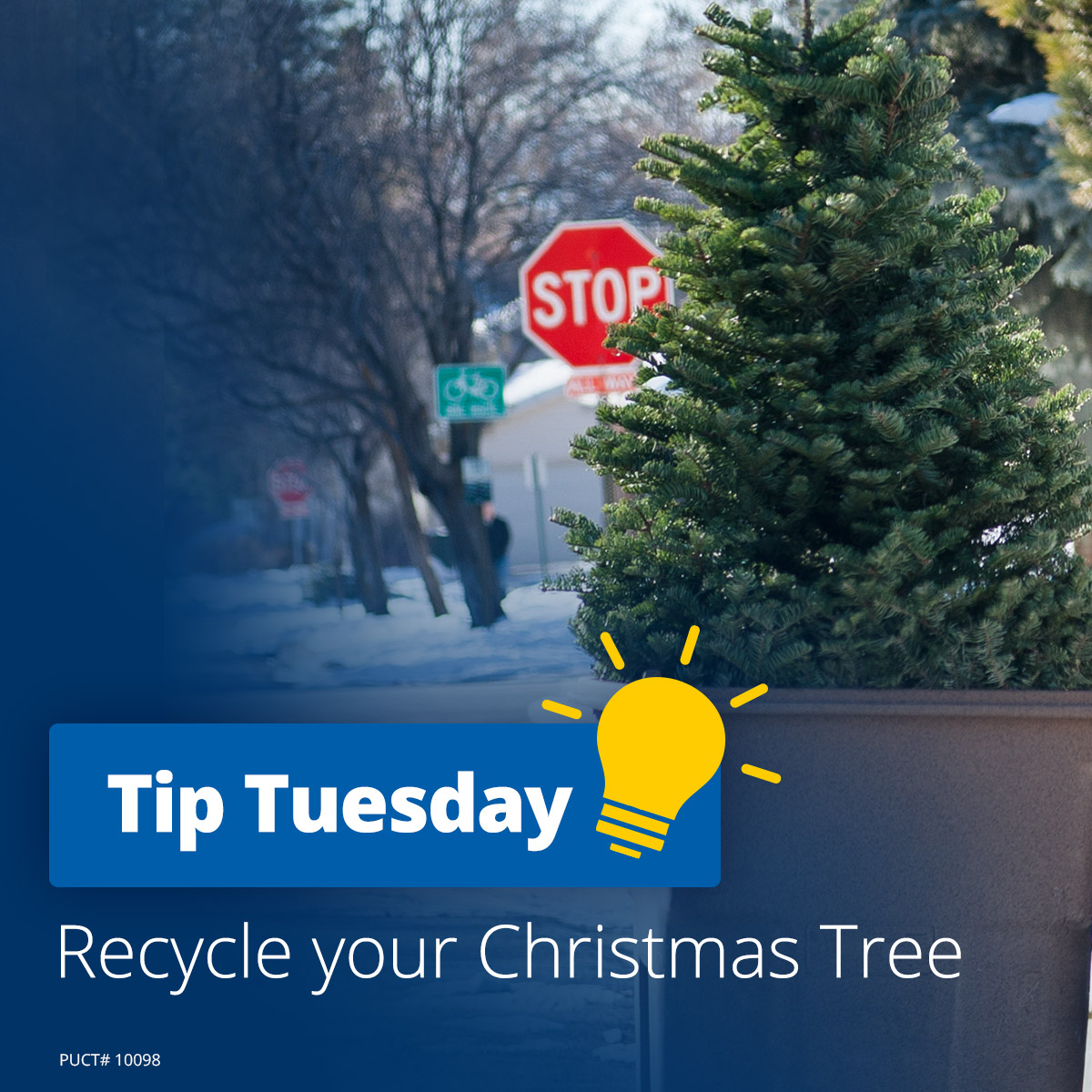 RecycledChristmasTree-IG Tip Tuesday