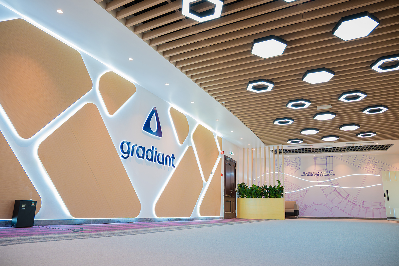 Gradiant Branded wall and light wall